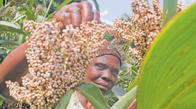 Minister commissions seed bank in Mudzi