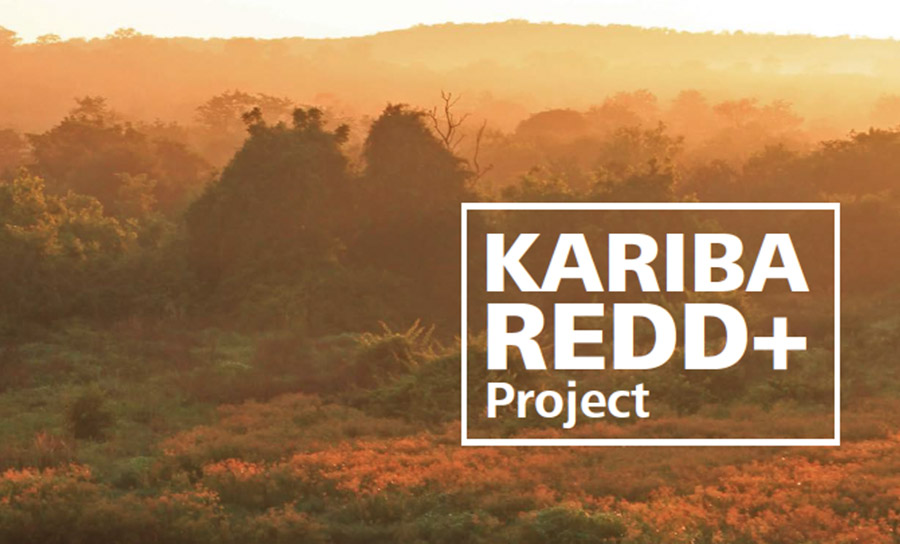Kariba carbon credits dispute escalates