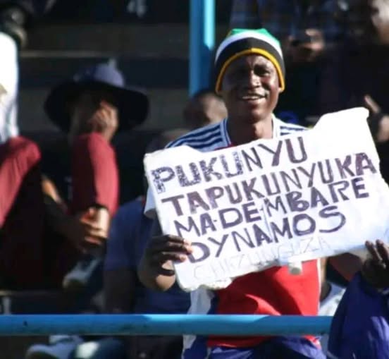 Dynamos escape relegation Zone in controversial fashion