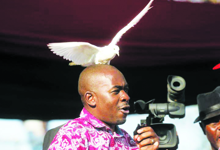  Chamisa guns for Mwonzora, Mudzuri