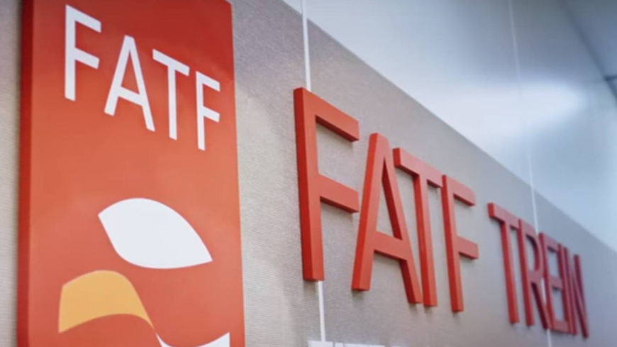Zimbabwe risks being thrown out of FATF