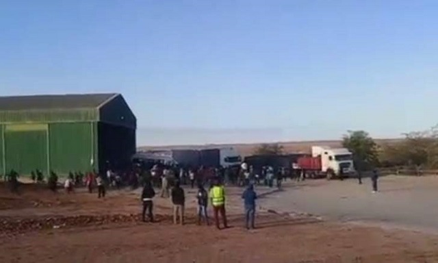 Gunshots at Beitbridge border as omalayitsha rampage