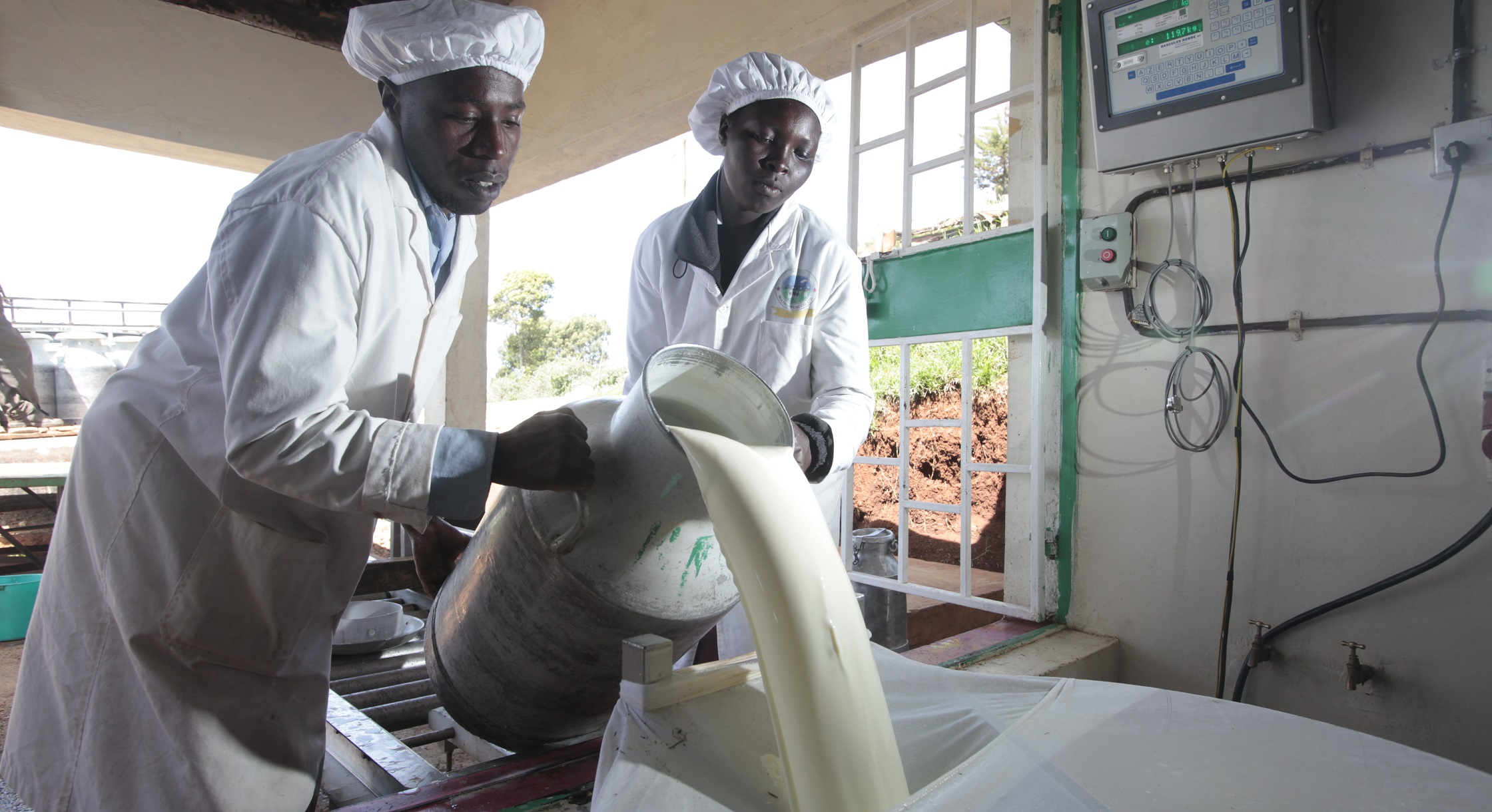 Milk production up in 10 months