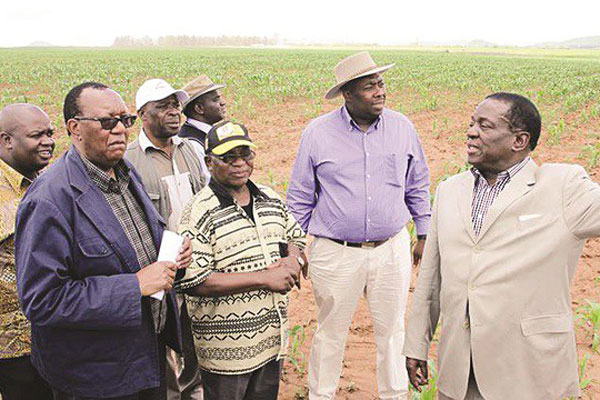 Command agriculture improves food security