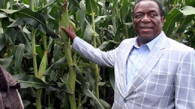 Govt tightens Command Agriculture screws