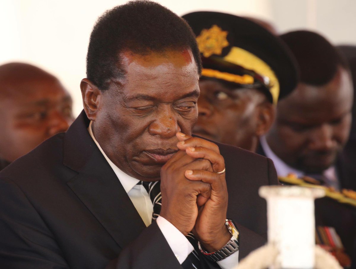 Zanu-PF supporters angry at Mnangagwa's nephew