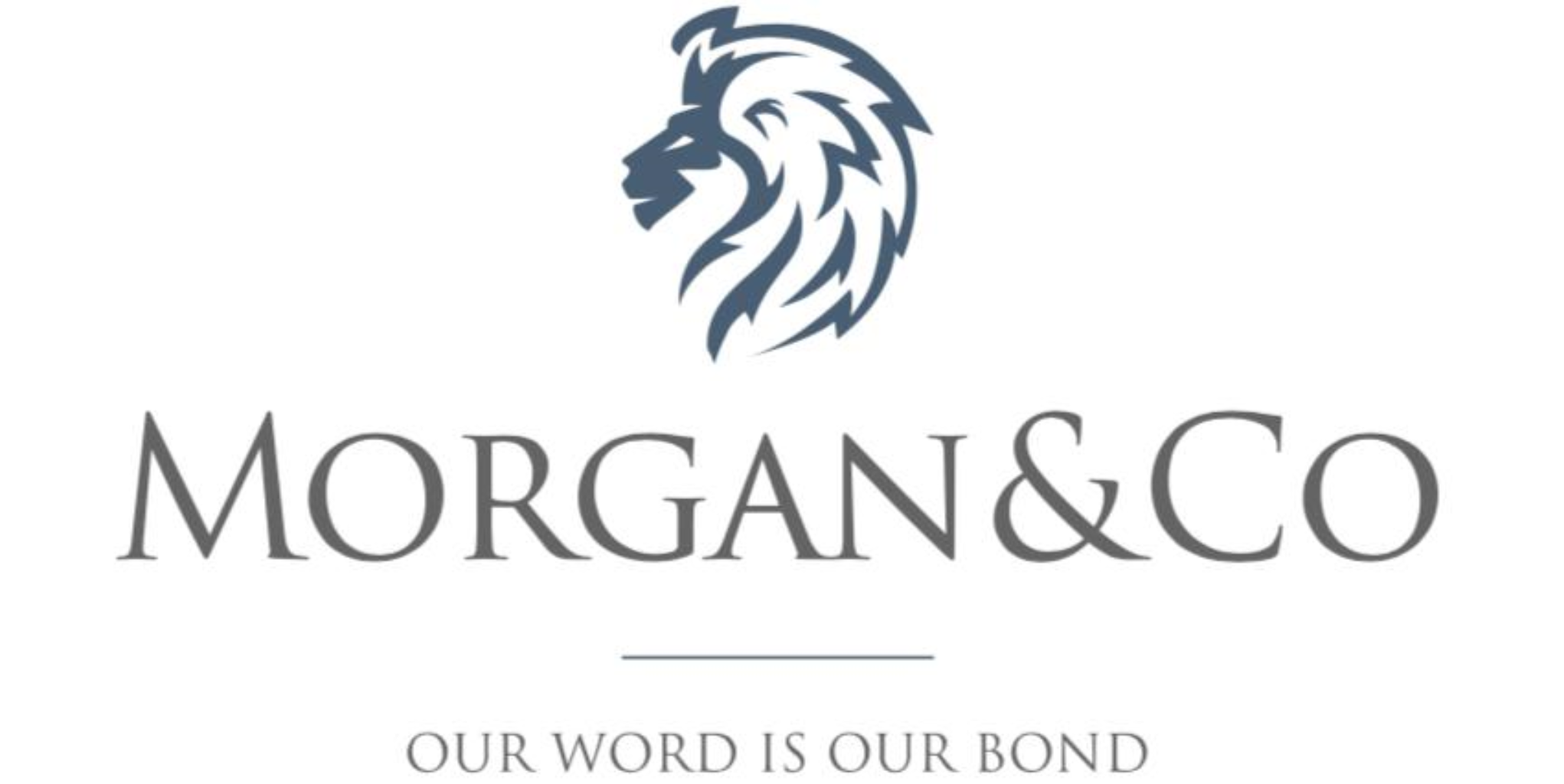  Morgan & Co launches research app