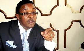 Mzembi urges 'sober' approach to indigenisation