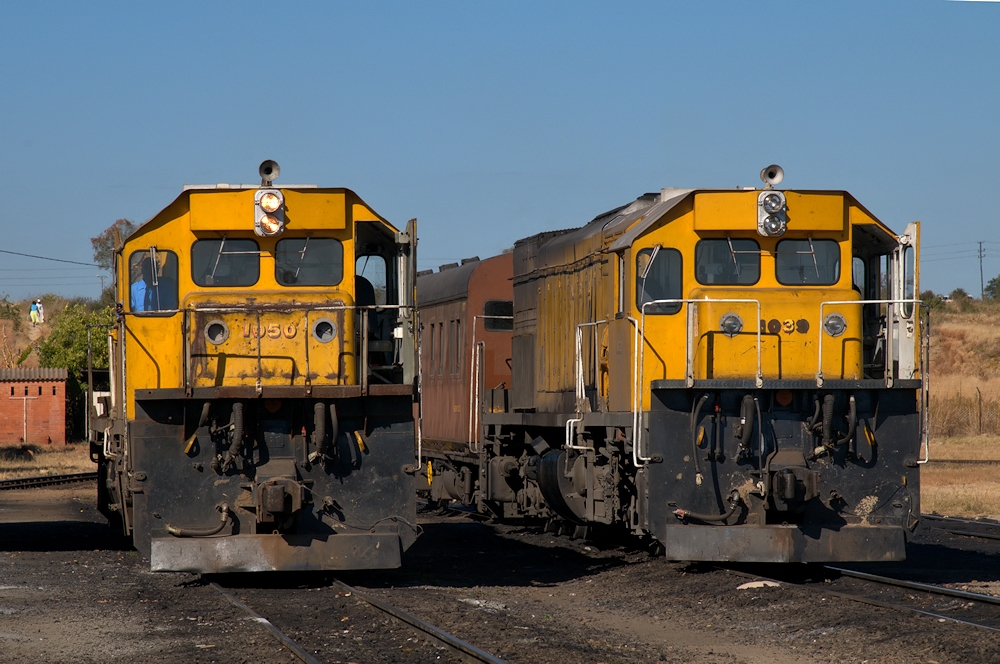 Govt plans to revive NRZ, Sable