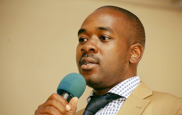 MDC-T bigwigs ganging against Chamisa