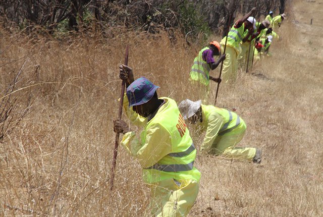 No dualisation but $400,000 fence