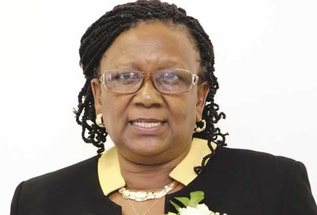 Zimbabwe tourism on the rebound, says Mupfumira