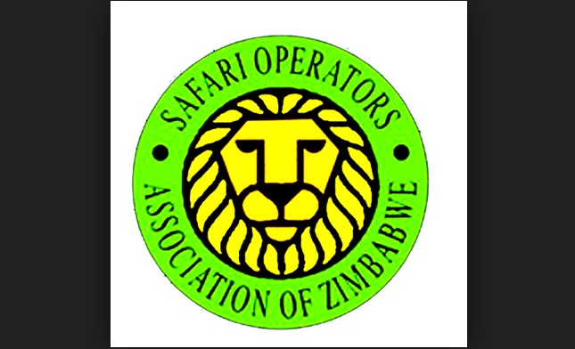 Safari operators record 5% upturn in revenues