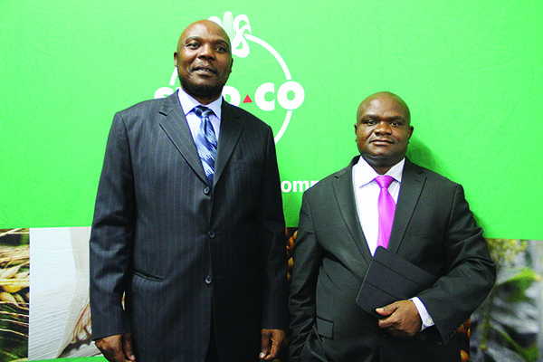 SeedCo Zim targets 275% maize growth