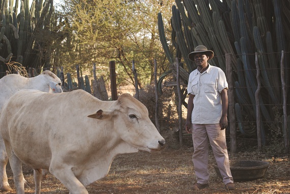 Gwanda mourns prominent businessman