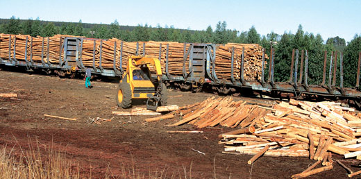 Timber Producers Federation forms workers' association