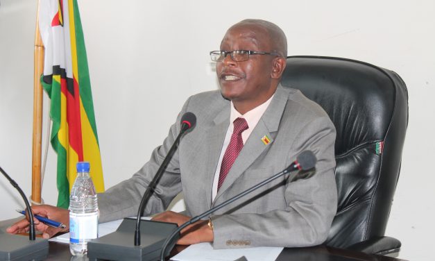 Zanu-PF primaries a success, says Ziyambi