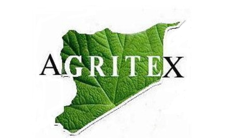 Agritex, farmers clash over over tobacco stalks