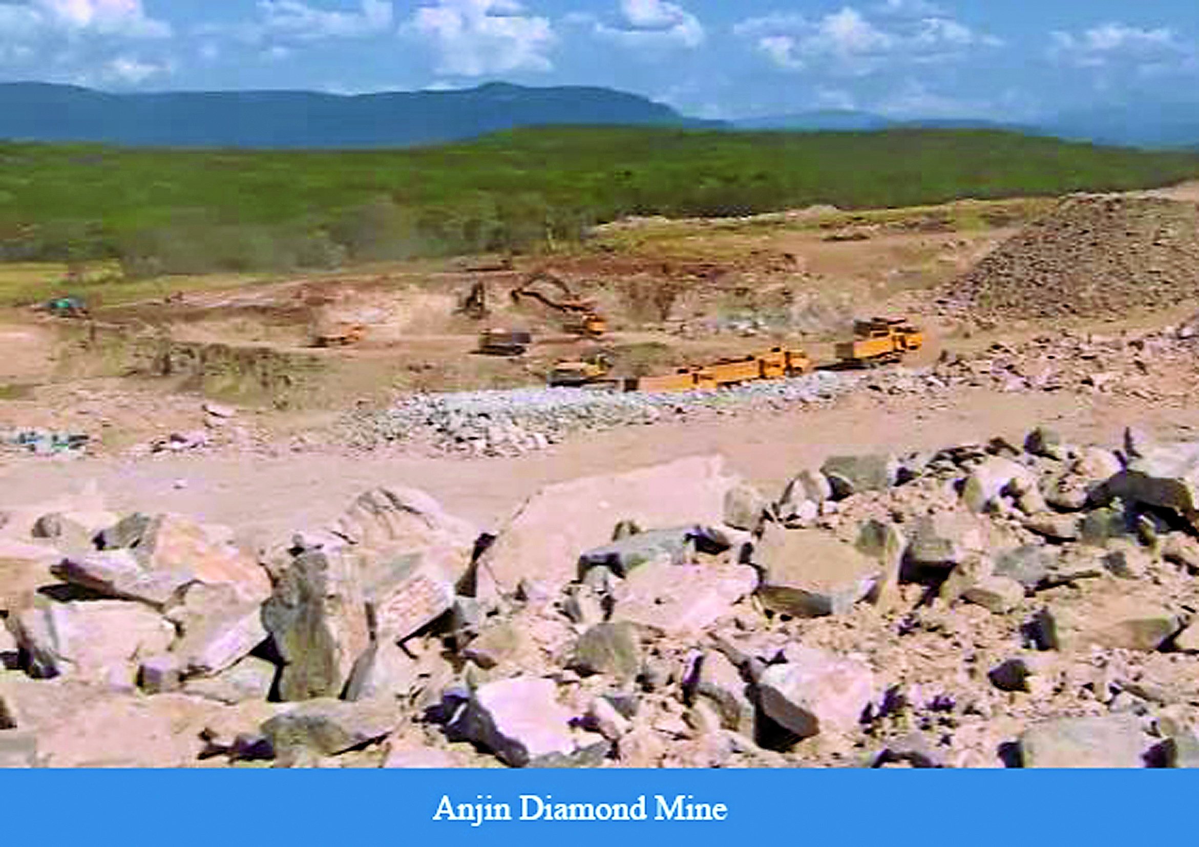 Govt probes Anjin asset-stripping