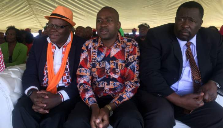 Biti outlines MDC Alliance's economic agenda