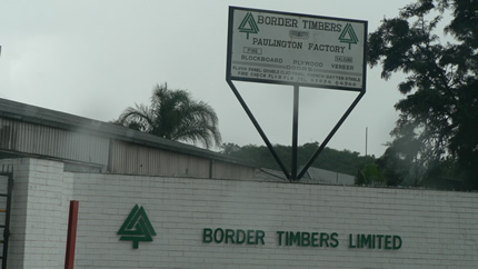 Border Timbers shares finally settled on CSD