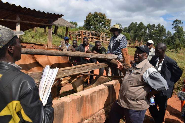 Disease, forex shortage cripple dairy farmers