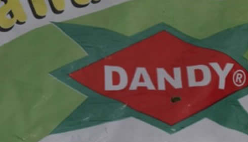 DANDY Zimbabwe to expand operations