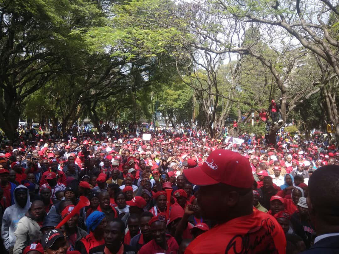 #ShutDownHarare, shutting the mind