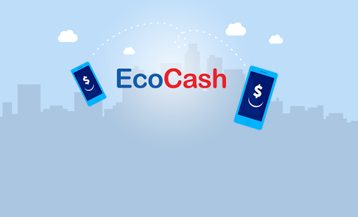 EcoCash charges further slashed