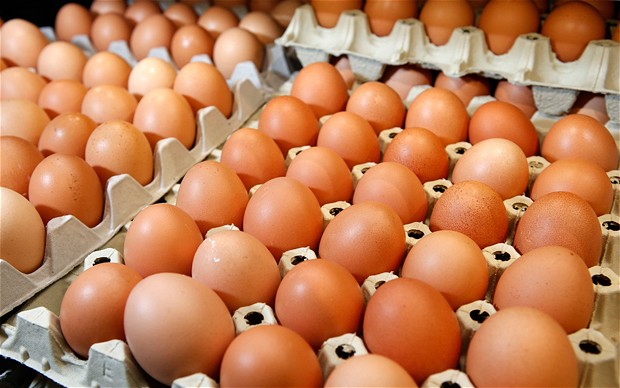 Eggs, day-old chicks shortages hit Zimbabwe