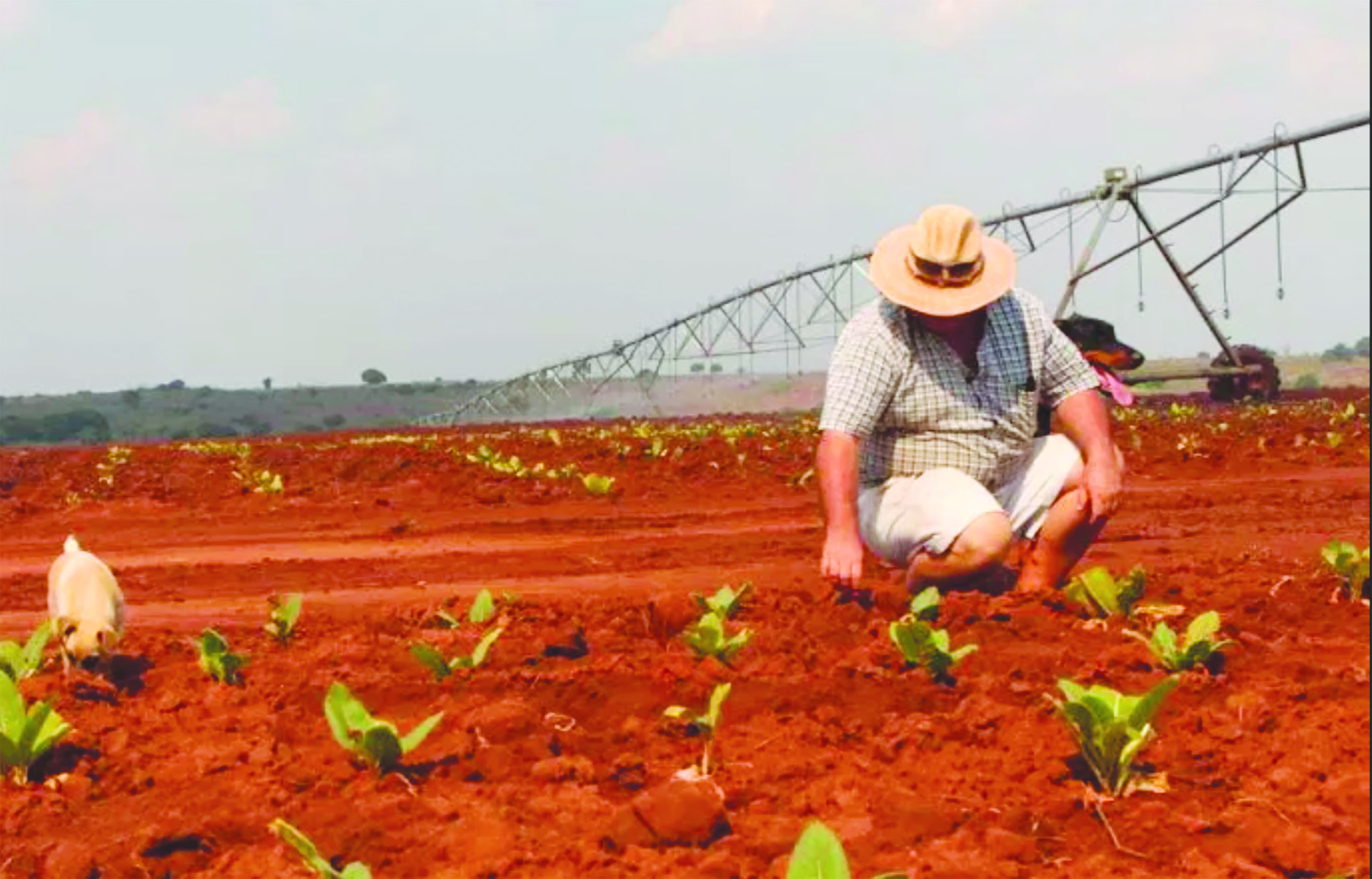 +70 Zim farmers in Zambia yearn to return home