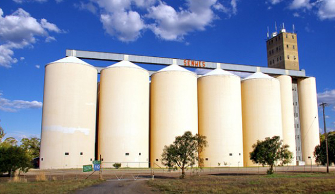 Grain reserves hit one million tonnes