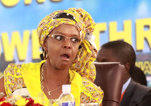 Grace Mugabe booted out of Mazowe Dam