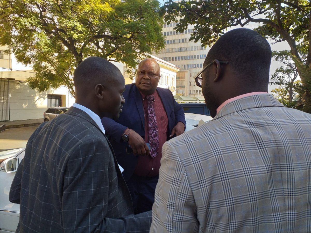 Chamisa's MDC divided over Sikhala