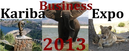 Kariba business expo exhibitors decrease 