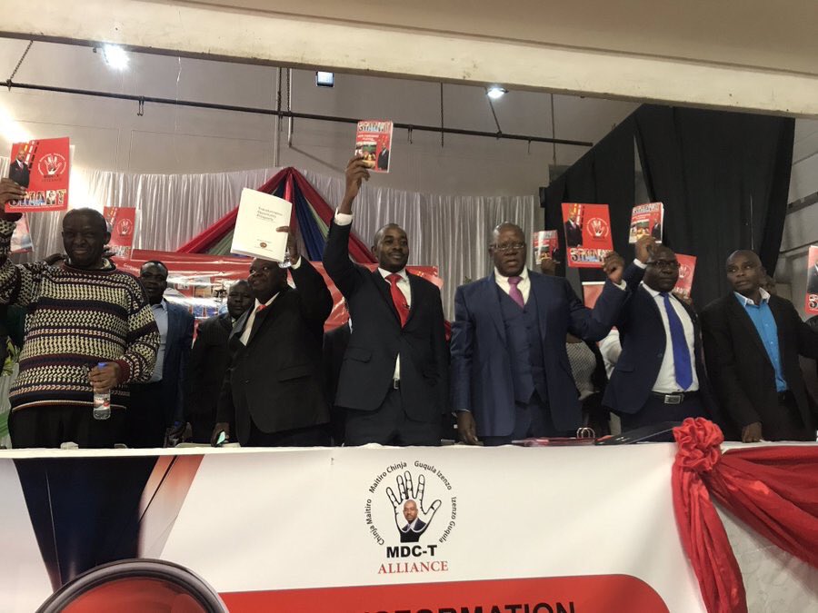 MDC-T apologises for colourful Biti lingo