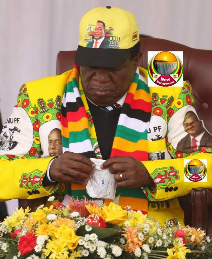 Mnangagwa has flu?