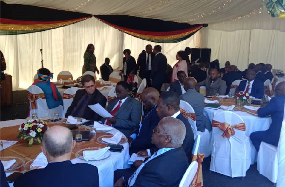  Mnangagwa risks capture by corporate leaders