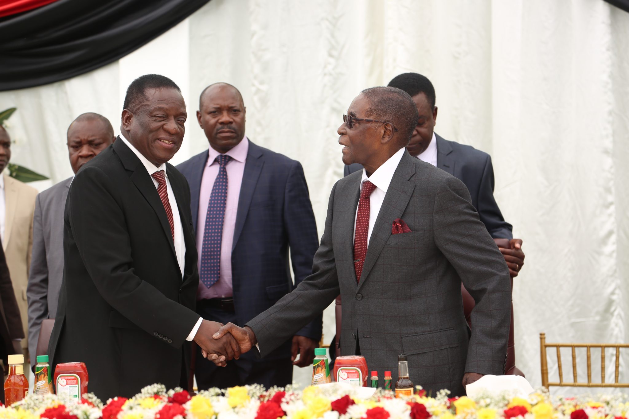 Mugabe, Mnangagwa fight takes new twist