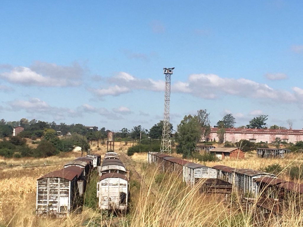 Goods train derails in Hwange