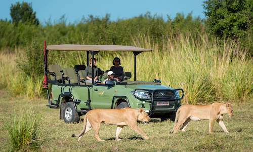 Safari tourism in Zimbabwe gets a boost