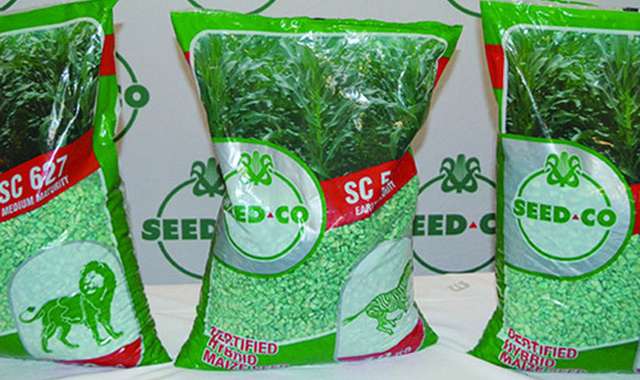 SeedCo revenue down 5%