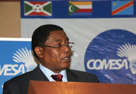 Zim urged to engage China on $36bn investment fund