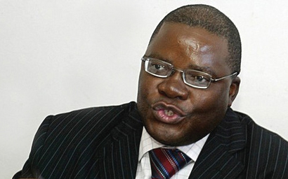 '7 banks face closure,' says Biti