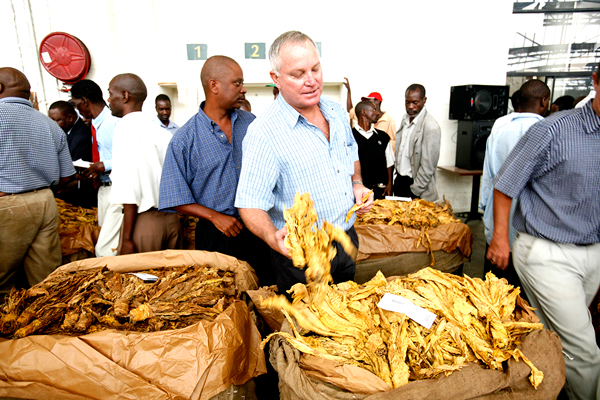 Tobacco output surpasses 200 million kgs