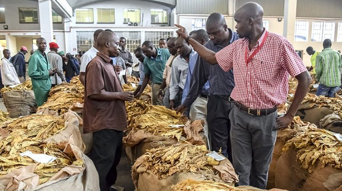Tobacco farmers gross over $500m