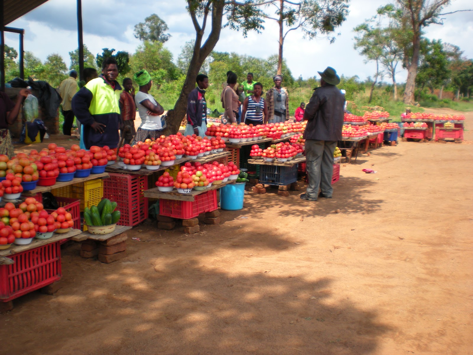 Zim informal sector singing the blues