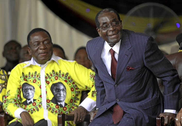 'Mnangagwa is development, reform-minded'