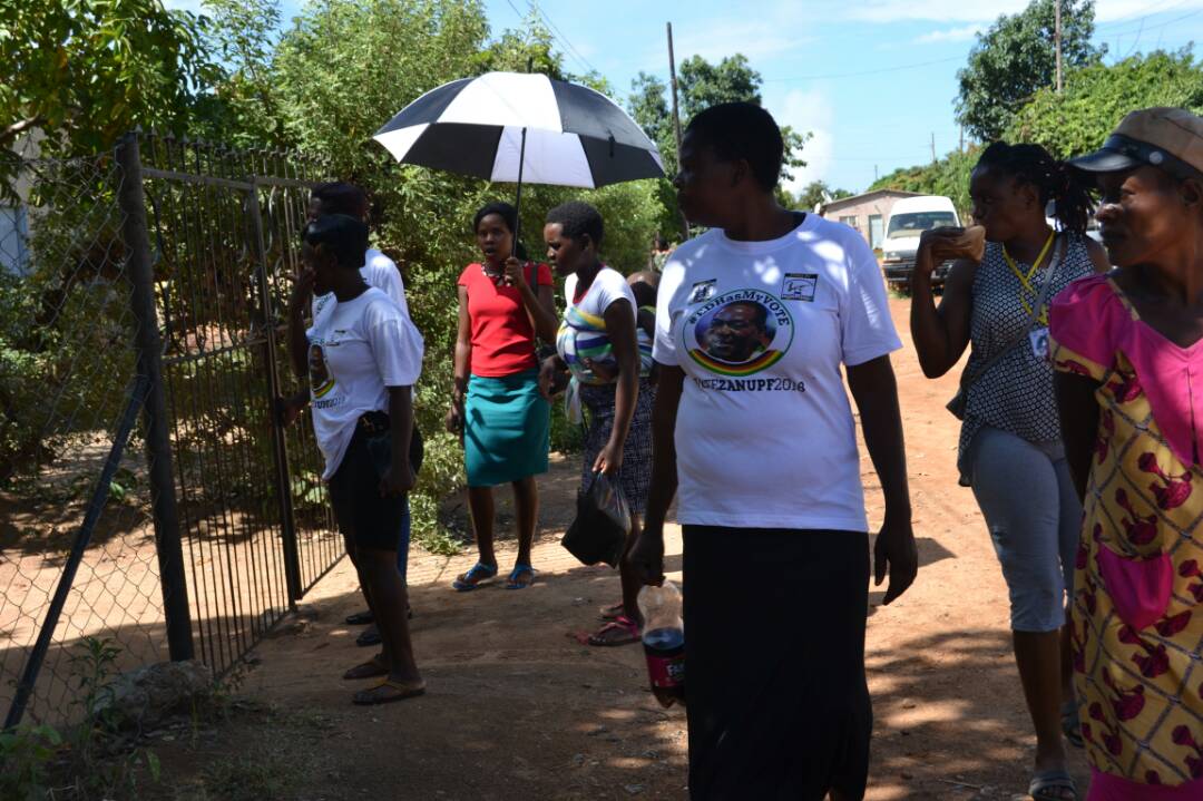 Zanu-PF candidates in door-to-door campaign